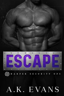Escape (Harper Security Ops Book 16)