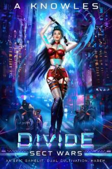 Divide - Sect Wars: book 2