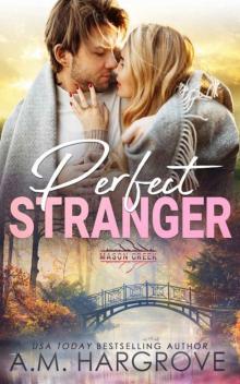 Perfect Stranger: Mason Creek #17