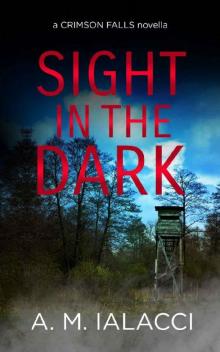 Sight in the Dark