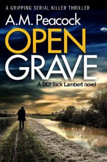 Open Grave: a gripping serial killer thriller