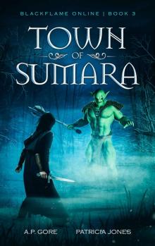 Town of Sumara: BlackFlame Online Book 3 (LitRpg Adventure)
