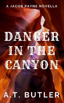 Danger in the Canyon
