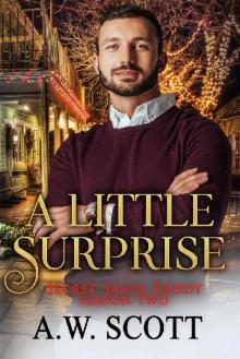 A Little Surprise (Secret Santa Daddy Season Two)