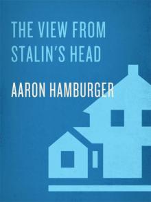 The View from Stalin's Head
