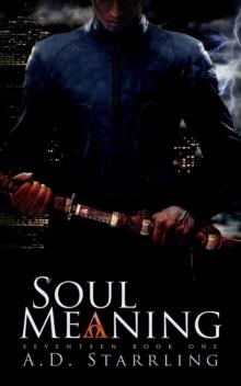 Soul Meaning (Seventeen)