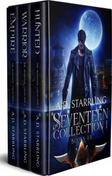 The Seventeen Collection 1: Seventeen Series Novels Books 1-3