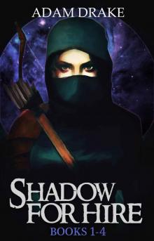 Shadow For Hire: Books 1-4 (A LitRPG Series)