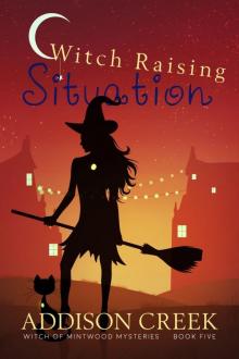 Witch Raising Situation (Witch of Mintwood Book 5)