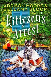 Kittyzen's Arrest Kittyzen's Arrest