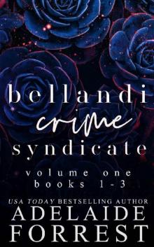 Bellandi Crime Syndicate Volume One: A Dark Mafia Box Set (Bellandi Crime Syndicate Box Sets Book 1)