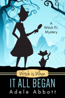 Witch Is When It All Began (A Witch P.I. Mystery Book 1) Witch Is When It All Began (A Witch P.I. Mystery Book 1)
