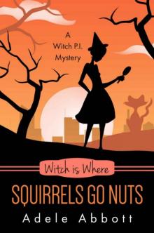Witch Is Where Squirrels Go Nuts (Witch P.I. Mystery Book 39) Witch Is Where Squirrels Go Nuts (Witch P.I. Mystery Book 39)