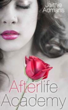 Afterlife Academy Afterlife Academy