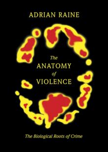 The Anatomy of Violence