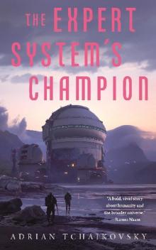 The Expert System's Champion (The Expert System's Brother)