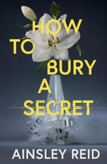 How to Bury a Secret: The addictive psychological thriller readers are bingeing in one sitting