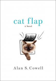 Cat Flap Cat Flap
