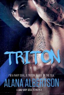 TRITON: A Navy SEAL Romance (Heroes Ever After Book 2)