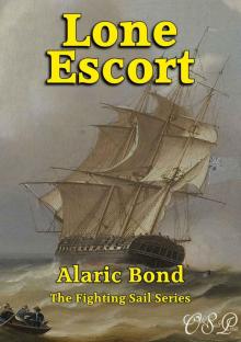 13 Lone Escort Fighting Sail #13)