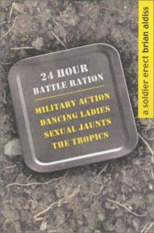 A Soldier Erect