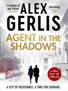 Agent in the Shadows