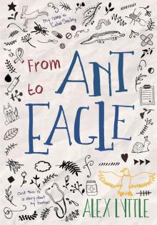 From Ant to Eagle From Ant to Eagle