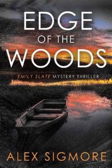 Edge of the Woods (Emily Slate FBI Mystery Thriller Book 12)
