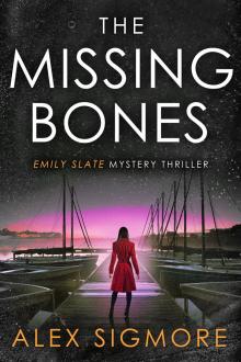 The Missing Bones (Emily Slate FBI Mystery Thriller Book 14)