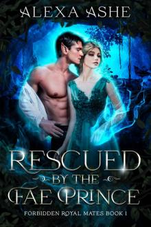 Rescued by the Fae Prince: A Forbidden Fantasy Romance