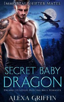 Secret Baby Dragon: Enemies to Lovers Rejected Mate Romance