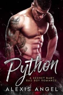 Python: A Secret Baby Bad Boy Romance Python: A Secret Baby Bad Boy Romance