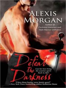 Defeat the Darkness (Paladins of Darkness 6)