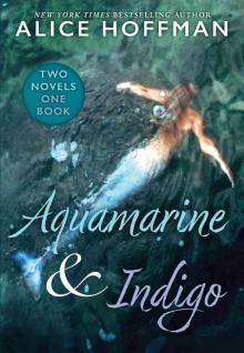 Aquamarine / Indigo Aquamarine / Indigo