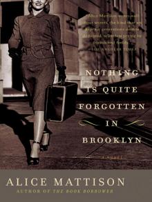 Nothing Is Quite Forgotten in Brooklyn Nothing Is Quite Forgotten in Brooklyn