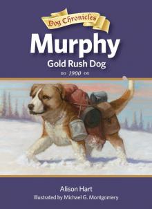 Murphy, Gold Rush Dog Murphy, Gold Rush Dog