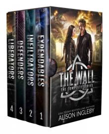 The Wall Complete Series Box Set: A Young Adult Dystopian Series