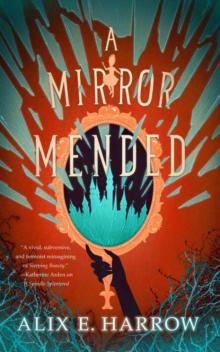A Mirror Mended A Mirror Mended