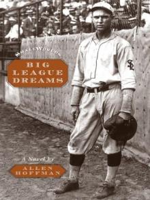 Big League Dreams (Small Worlds) Big League Dreams (Small Worlds)