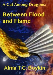 Between Flood and Flame (A Cat Among Dragons Book 6)
