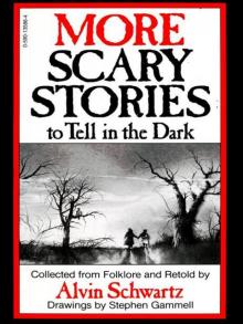 More Scary Stories to Tell in the Dark More Scary Stories to Tell in the Dark