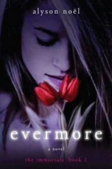 Evermore ti-1