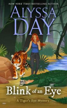 Blink of an Eye: Tiger's Eye Mysteries