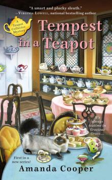 Tempest in a Teapot (A Teapot Collector Mystery) Tempest in a Teapot (A Teapot Collector Mystery)