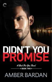 Didn't You Promise (A Bad for You Novel)