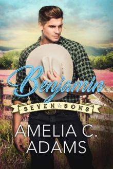 Benjamin (Seven Sons Book 2) Benjamin (Seven Sons Book 2)