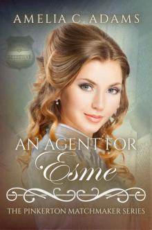 An Agent for Esme An Agent for Esme