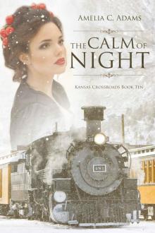 The Calm of Night (Kansas Crossroads Book 10) The Calm of Night (Kansas Crossroads Book 10)