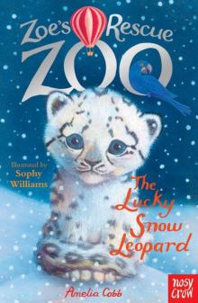 The Lucky Snow Leopard The Lucky Snow Leopard