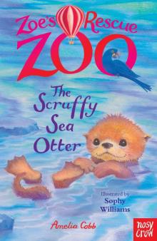 The Scruffy Sea Otter The Scruffy Sea Otter